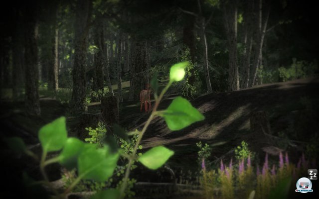 Screenshot - The Hunter 2012 (PC) 2275842