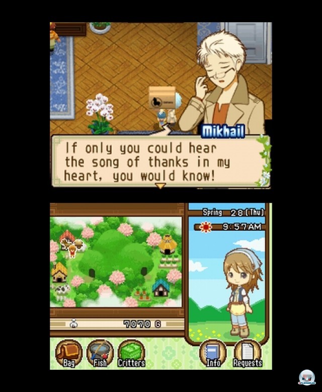Screenshot - Harvest Moon: The Tale of Two Towns (NDS) 2232047