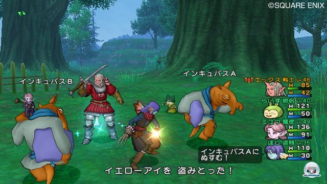 Screenshot - Dragon Quest X Online (Wii) 2370787