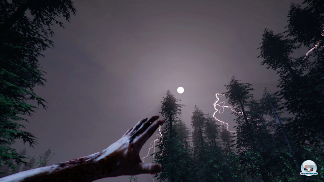 Screenshot - The Forest (PC) 92472301