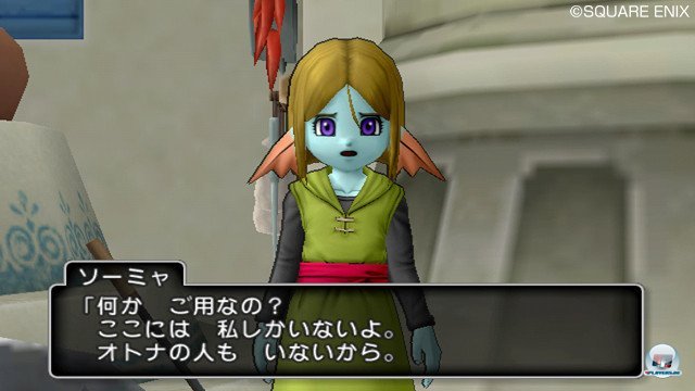 Screenshot - Dragon Quest X Online (Wii) 2365387