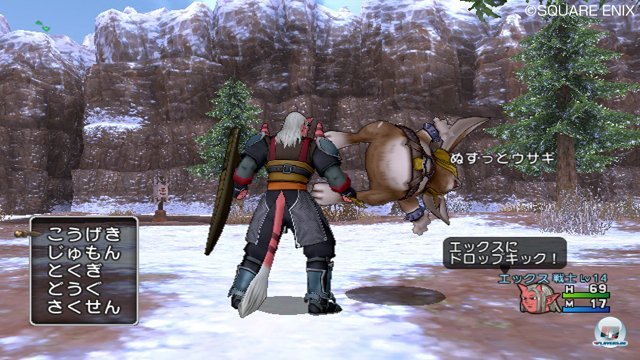 Screenshot - Dragon Quest X Online (Wii) 2321212