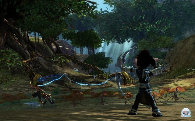 Screenshot - Guild Wars 2 (PC) 2337187