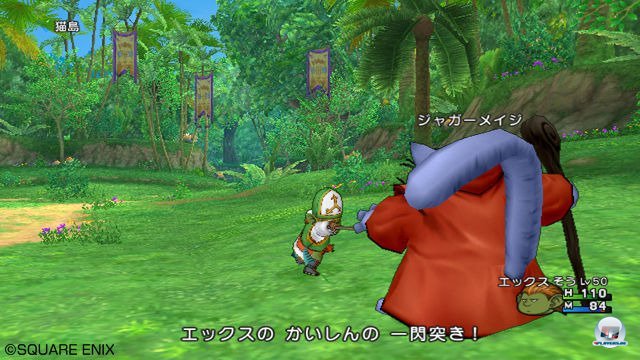 Screenshot - Dragon Quest X Online (Wii) 2295642