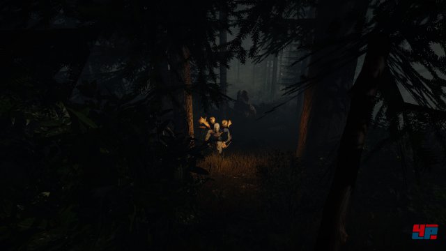Screenshot - The Forest (PC) 92475921