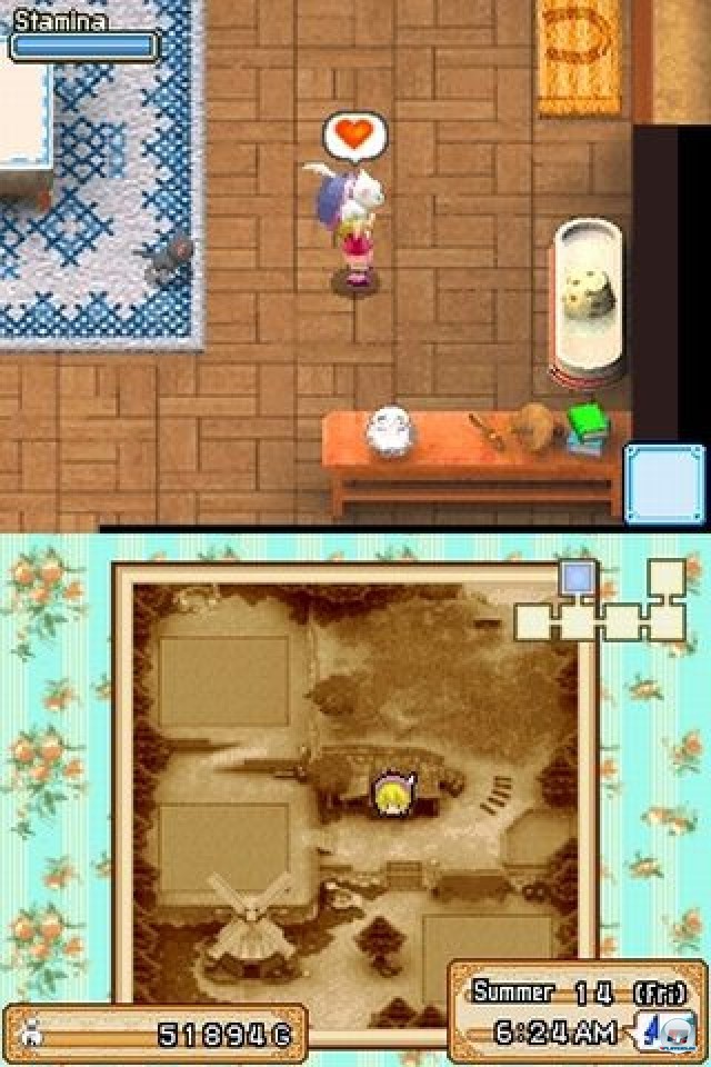 Screenshot - Harvest Moon DS: Grand Bazaar (NDS)