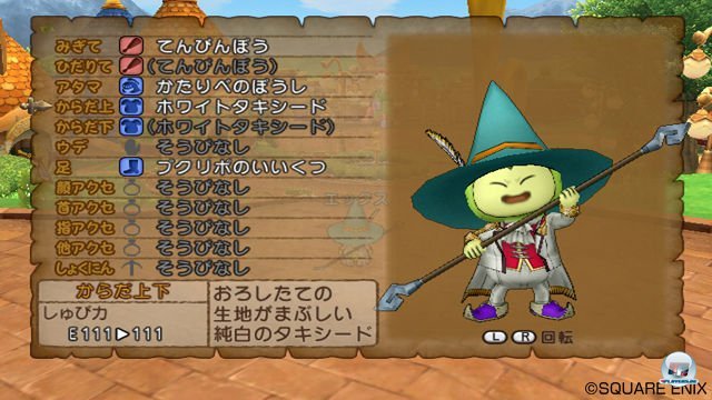 Screenshot - Dragon Quest X Online (Wii) 2303712