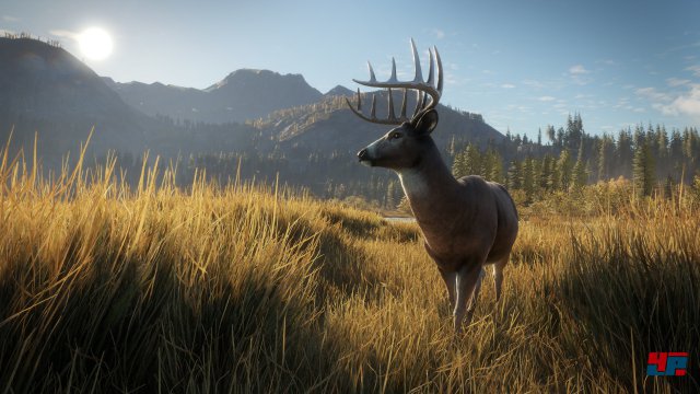 Screenshot - theHunter: Call of the Wild (PS4) 92543000