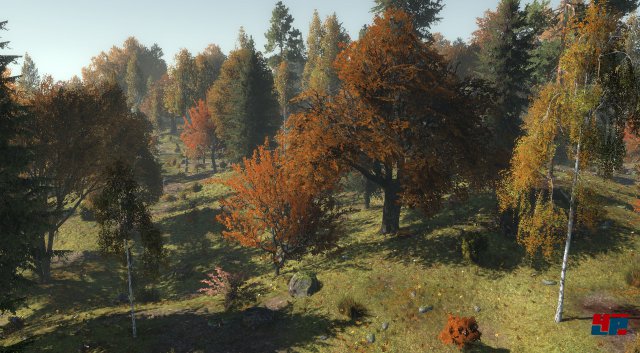 Screenshot - Life is Feudal: Forest Village (PC)