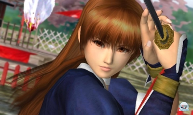 Screenshot - Dead or Alive: Dimensions (NDS) 2224183