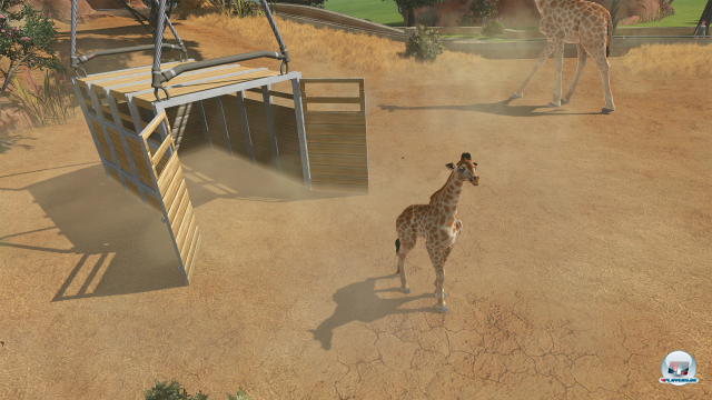 Screenshot - Zoo Tycoon (PC)