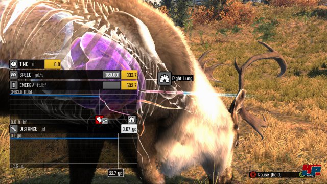 Screenshot - Big Game Hunter: Pro Hunts (PC) 92479057