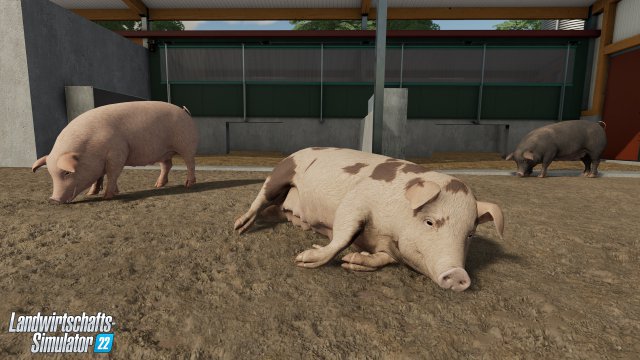 Screenshot - Landwirtschafts-Simulator 22 (PC, PS4, PlayStation5, Stadia, One, XboxSeriesX) 92651487