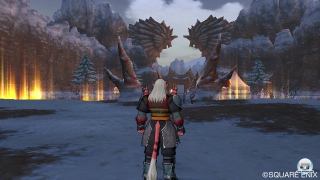 Screenshot - Dragon Quest X Online (Wii) 2321147
