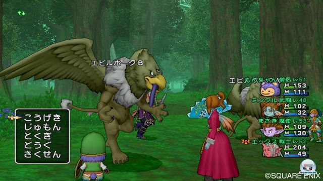 Screenshot - Dragon Quest X Online (Wii) 2303777