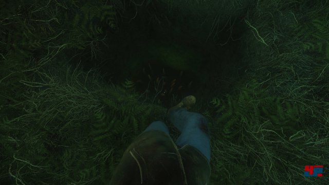 Screenshot - The Cursed Forest (PC) 92583180