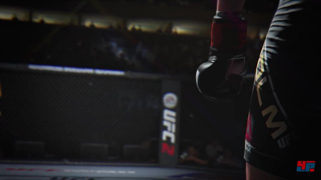 EA hat sich fr die Entwicklung von UFC vom jhrlichen Turnus verabschiedet - und das tut den Octagon-Kmpfen sprbar gut.