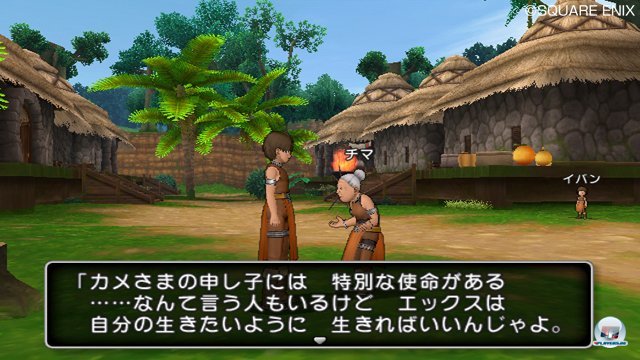 Screenshot - Dragon Quest X Online (Wii) 2308717