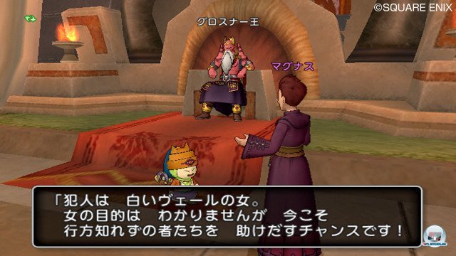Screenshot - Dragon Quest X Online (Wii) 2357222