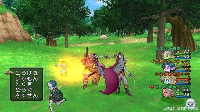 Screenshot - Dragon Quest X Online (Wii) 2368822