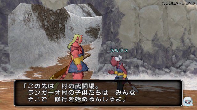Screenshot - Dragon Quest X Online (Wii) 2273507