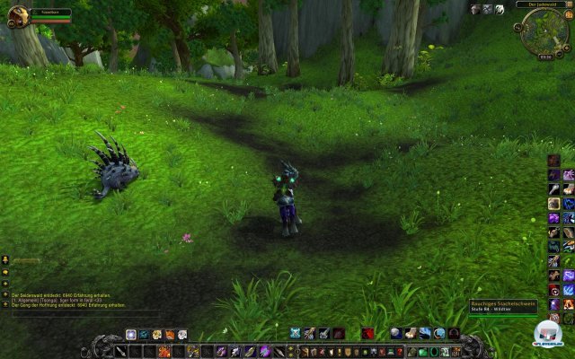 Screenshot - World of WarCraft: Mists of Pandaria (PC) 2334072