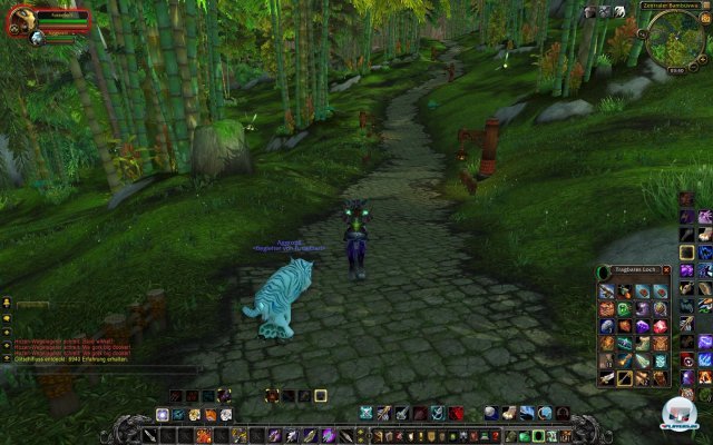 Screenshot - World of WarCraft: Mists of Pandaria (PC) 2334117