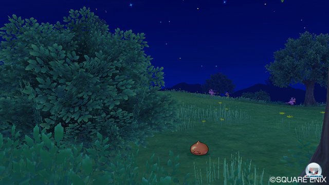 Screenshot - Dragon Quest X Online (Wii) 2321197