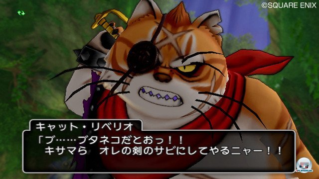Screenshot - Dragon Quest X Online (Wii) 2365377