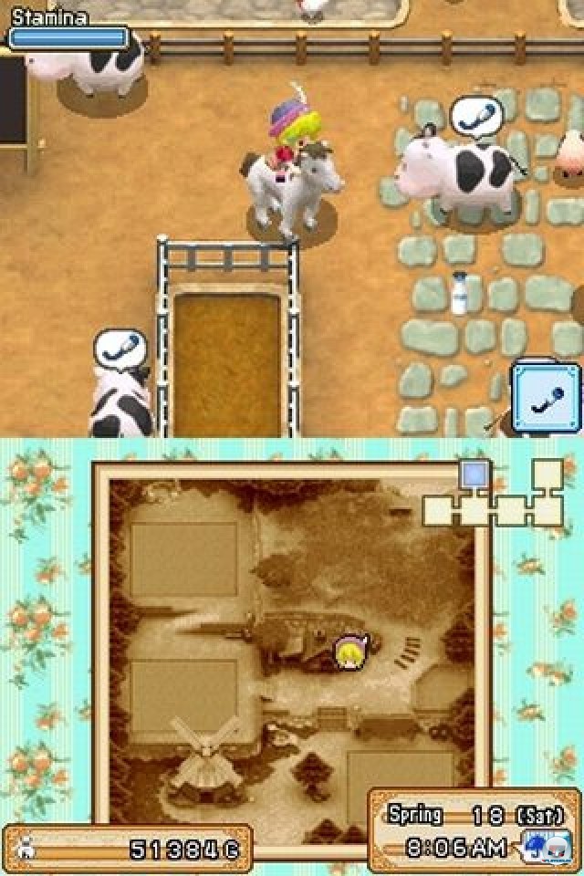 Screenshot - Harvest Moon DS: Grand Bazaar (NDS) 2222987
