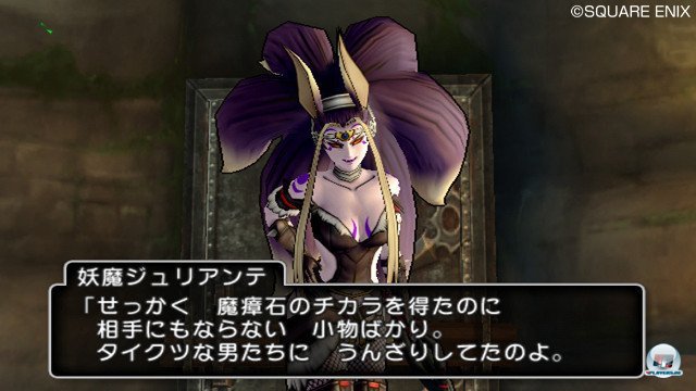 Screenshot - Dragon Quest X Online (Wii) 2353227