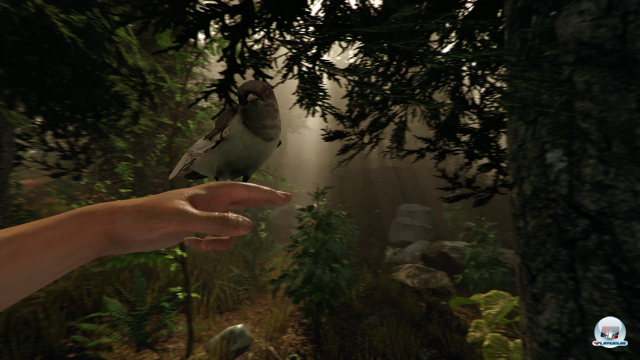 Screenshot - The Forest (PC) 92472296