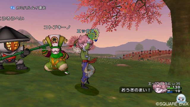 Screenshot - Dragon Quest X Online (Wii) 2292952