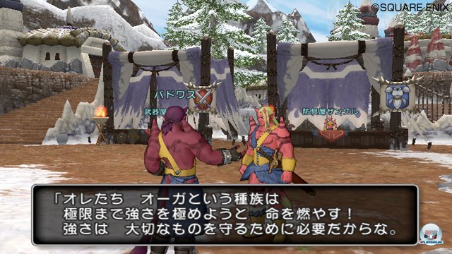 Screenshot - Dragon Quest X Online (Wii) 2273502