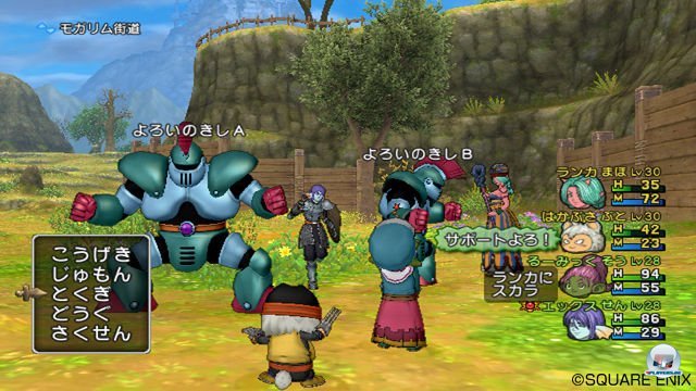 Screenshot - Dragon Quest X Online (Wii) 2287227