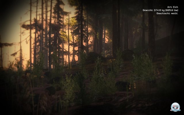Screenshot - The Hunter 2012 (PC) 2275897