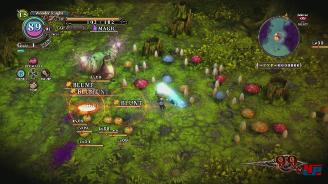 Screenshot - The Witch and the Hundred Knight (PlayStation3) 92474490