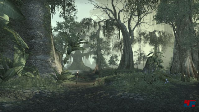 Screenshot - The Elder Scrolls Online (PC) 92480389