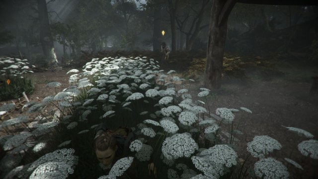 Screenshot - A Plague Tale: Requiem (XboxSeriesX) 92655074