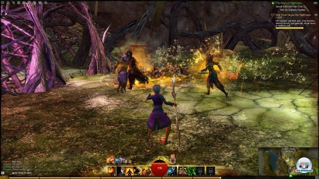 Screenshot - Guild Wars 2 (PC) 2395022