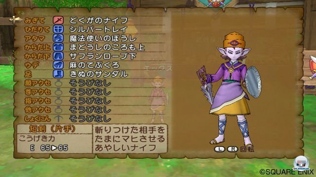 Screenshot - Dragon Quest X Online (Wii) 2300407