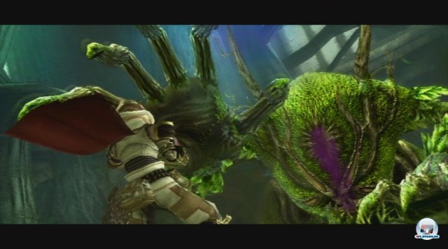 Screenshot - Pandora's Tower (Wii) 2343142