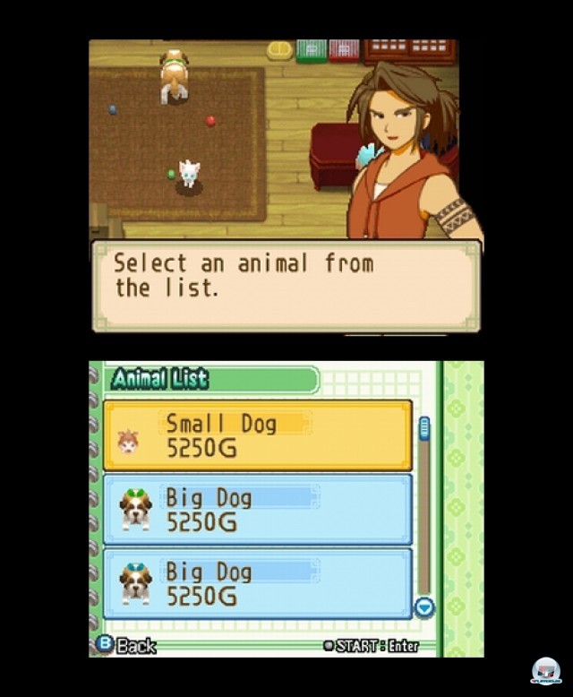 Screenshot - Harvest Moon: The Tale of Two Towns (NDS) 2232088