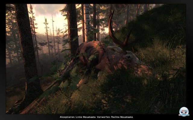 Screenshot - The Hunter 2012 (PC) 2275647