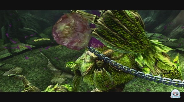 Screenshot - Pandora's Tower (Wii) 2343137