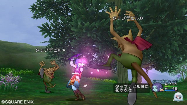 Screenshot - Dragon Quest X Online (Wii) 2303722