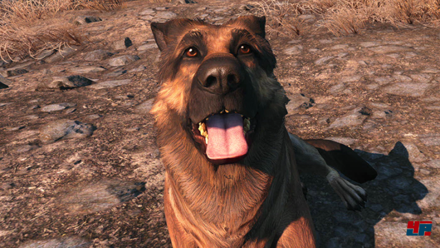 Screenshot - Fallout 4 VR (HTCVive) 92557280