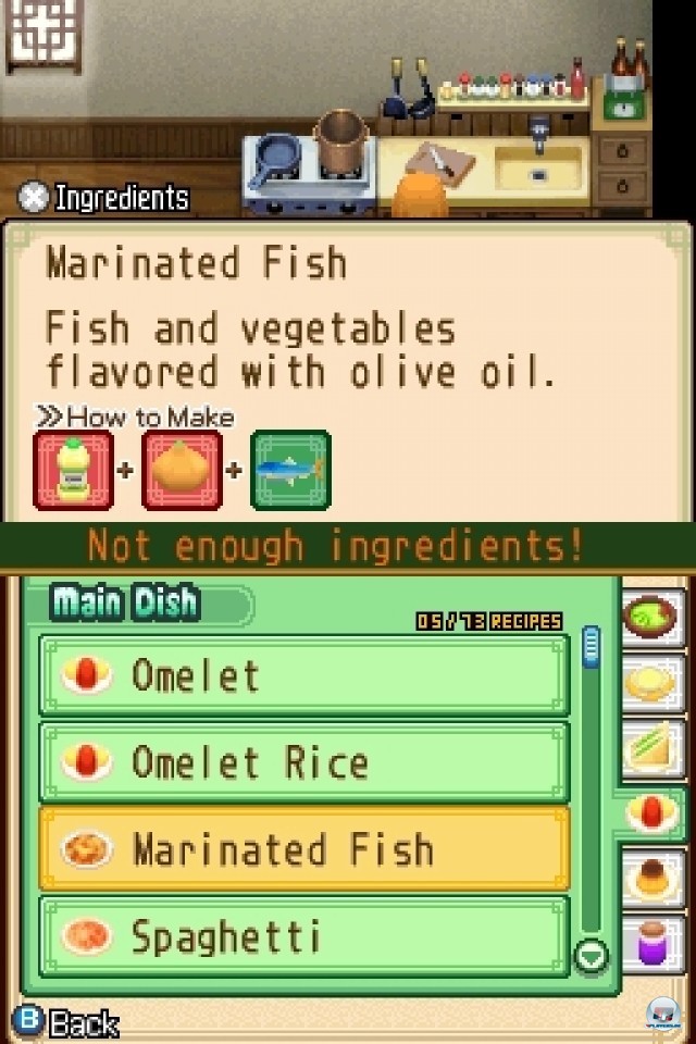 Screenshot - Harvest Moon: The Tale of Two Towns (NDS) 2231963