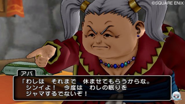 Screenshot - Dragon Quest X Online (Wii) 2303972