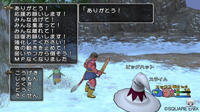 Screenshot - Dragon Quest X Online (Wii) 2353272